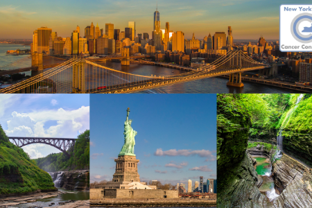 NYSCC Webinar Series (1)