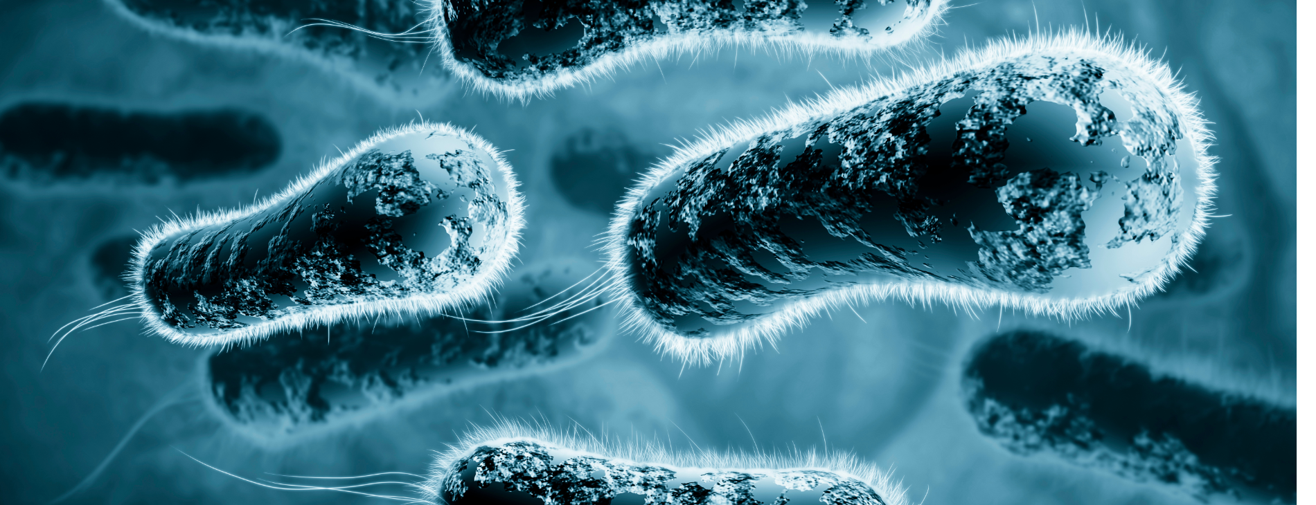 Vibriosis Infection and Your Risk for Severe Health Outcomes