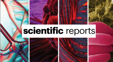 Cancer incidence trends in New York State